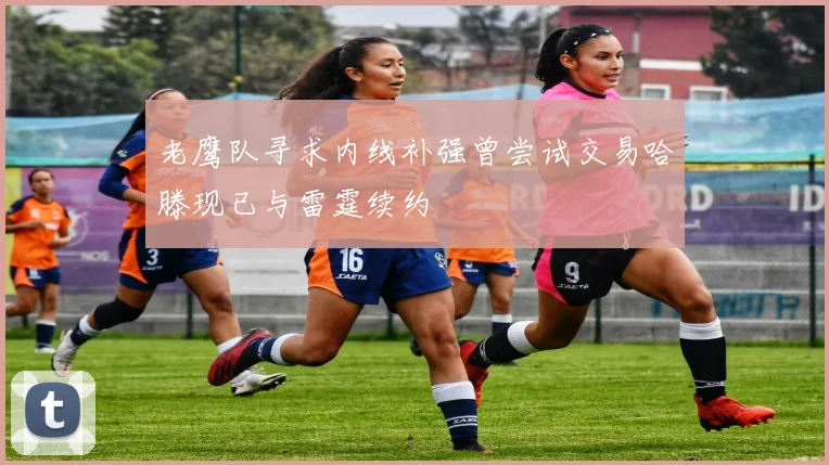老鹰队寻求内线补强曾尝试交易哈滕现已与雷霆续约